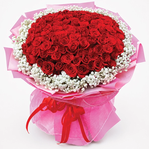 The Crimson Vow