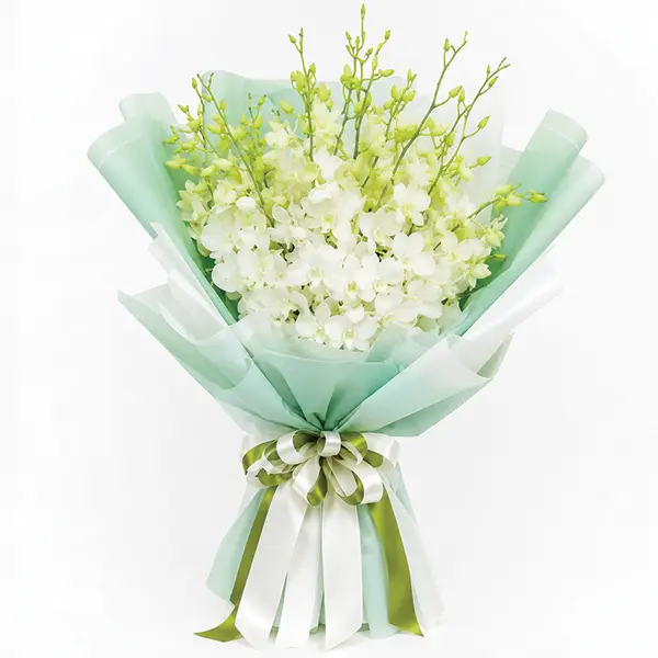 A Touch of White Dendrobium