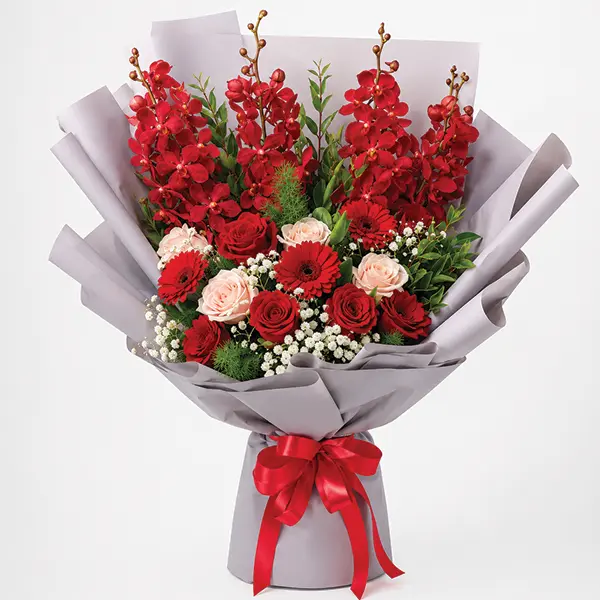 Scarlet Mokara Elegance