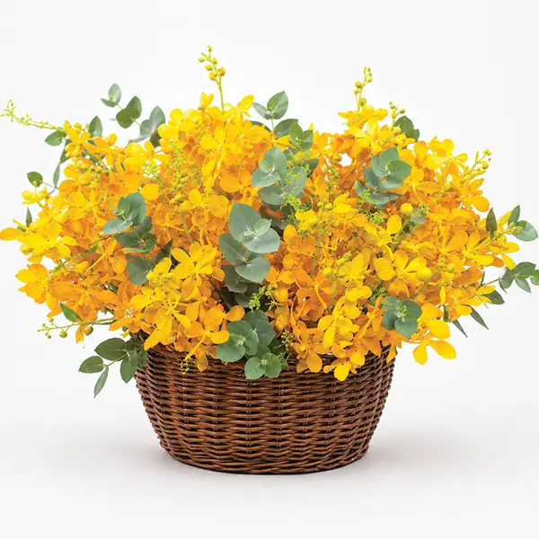 Vibrant Yellow Mokara