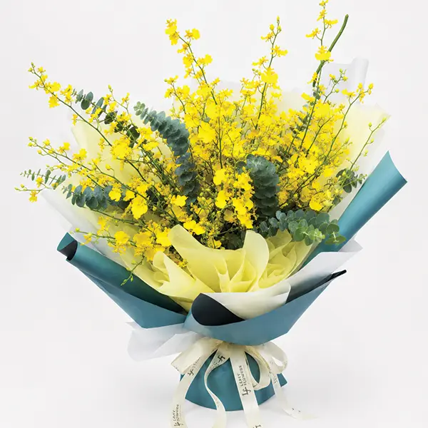 Golden Dance Oncidium