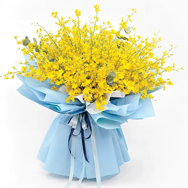 Sunlit Oncidium Melody