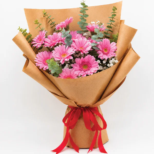 1 Dozen Pink Gerberas