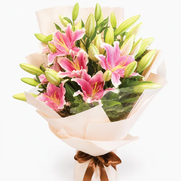 Pink Lily Elegance