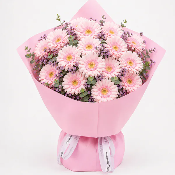 Sweet Pastel Whisper