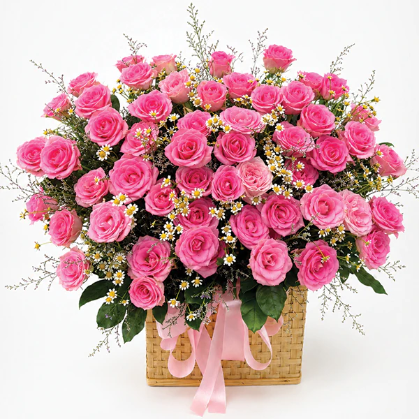 Timeless Pink Reverie