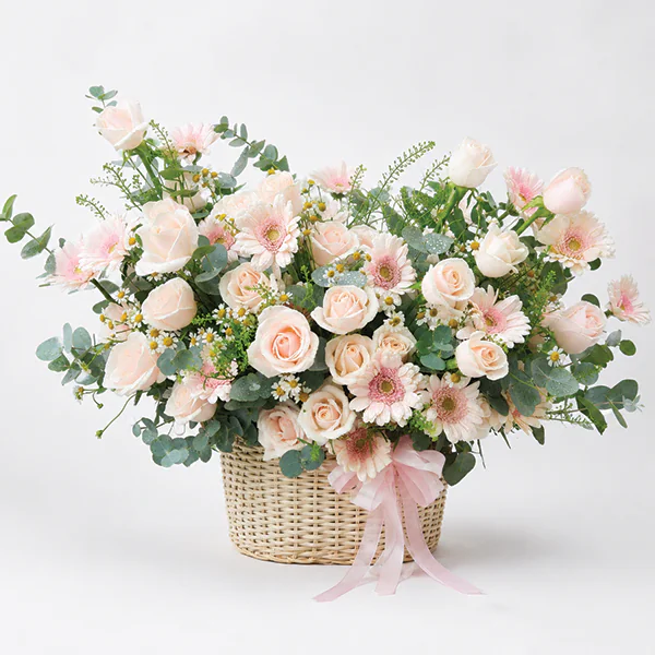 Blush Blossom Melody