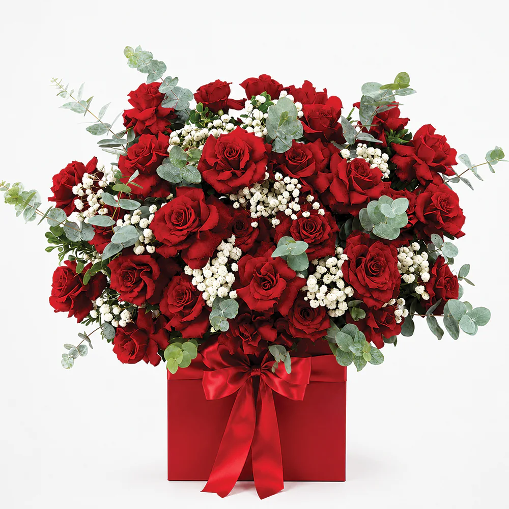 Scarlet Wishes