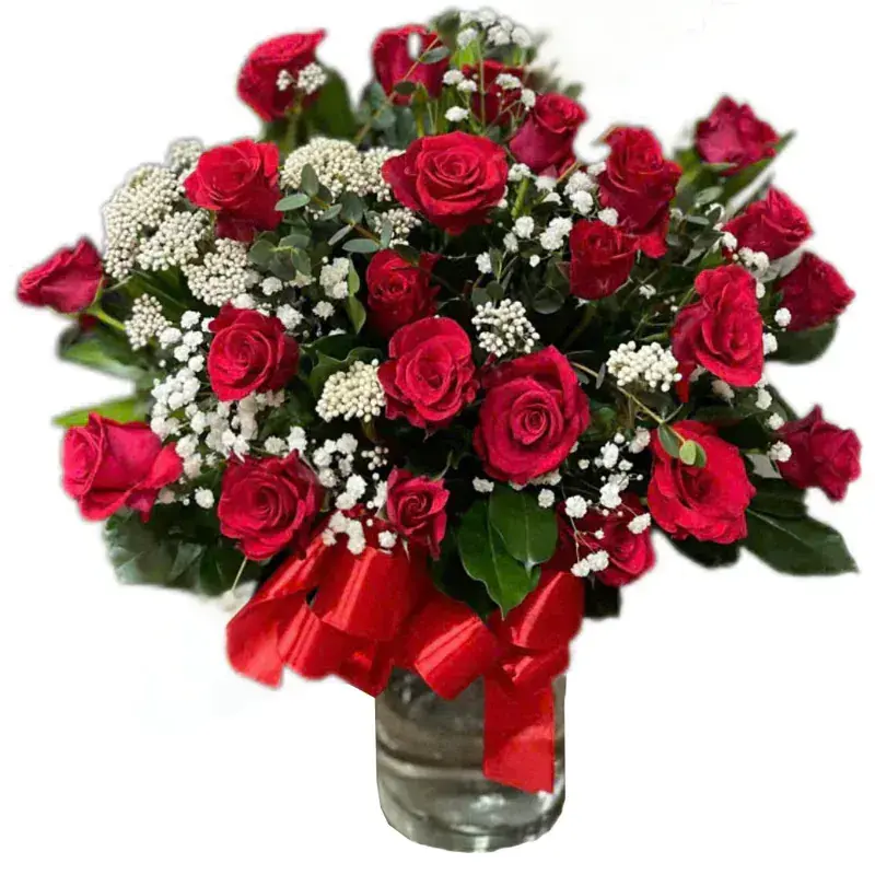 24 RED ROSES