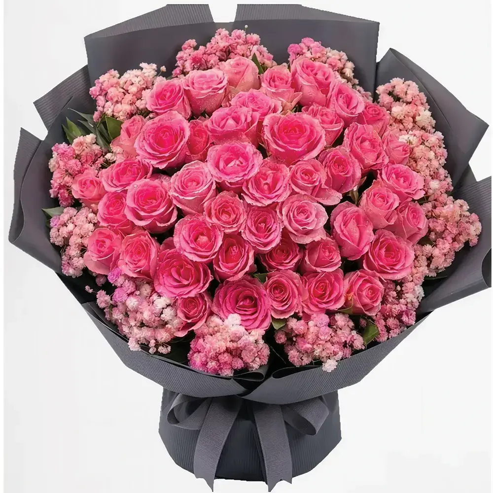 Pink Radiance