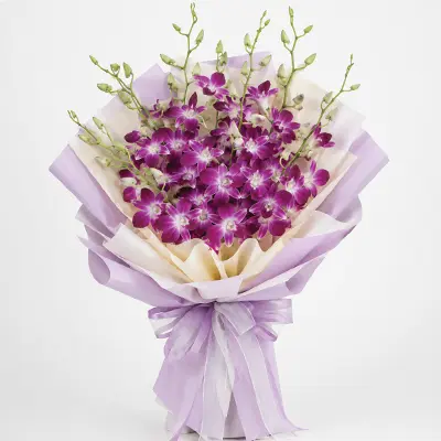 Orchid Whispers
