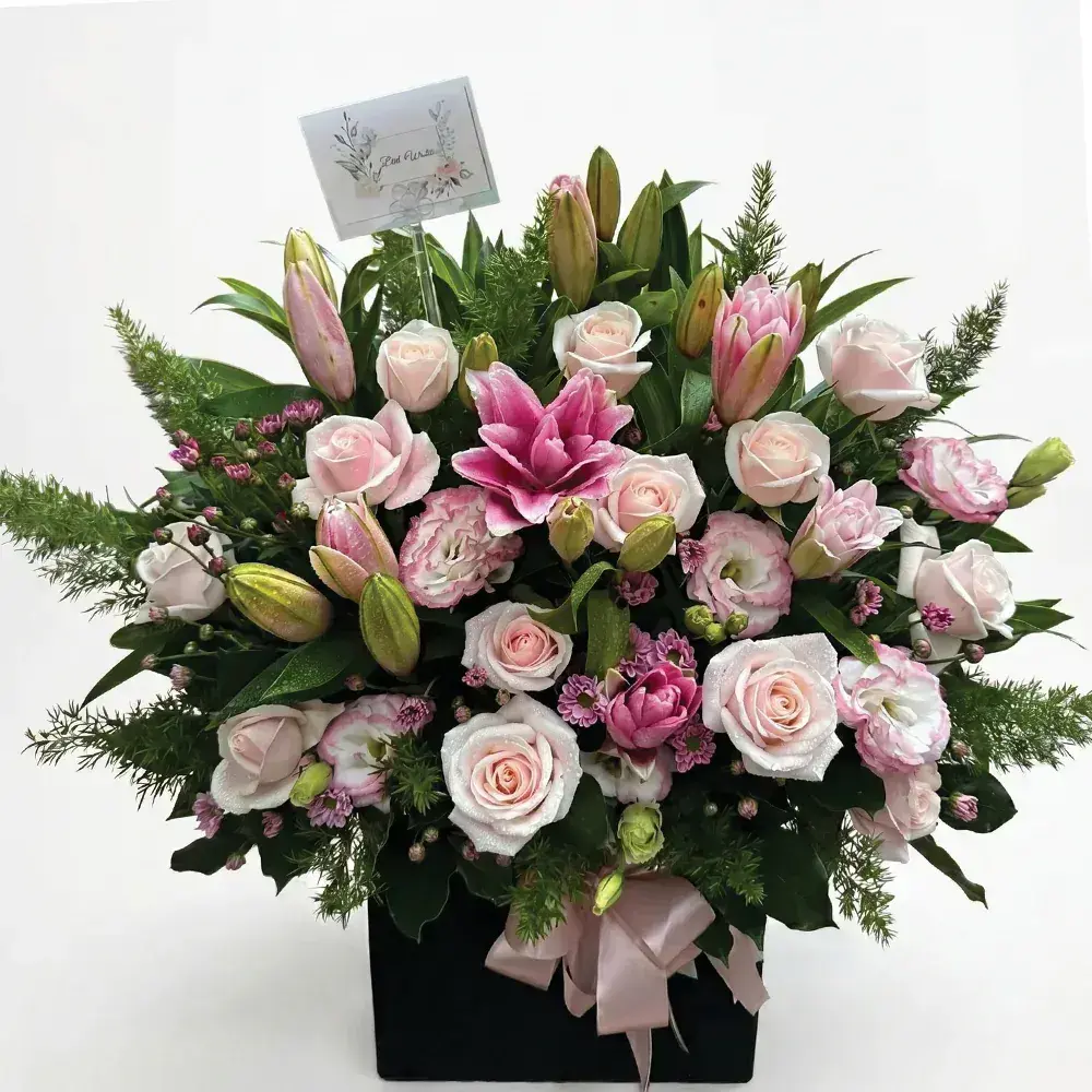 Elegant Pink Harmony