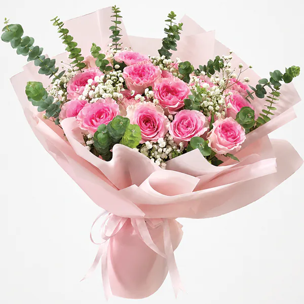 Pink Serenade Romance