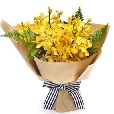 Glorious Gratitude Orchid