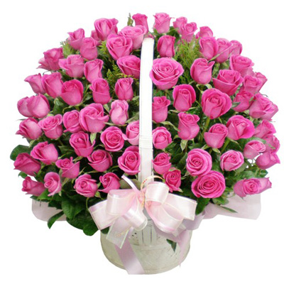 100 Pink Roses