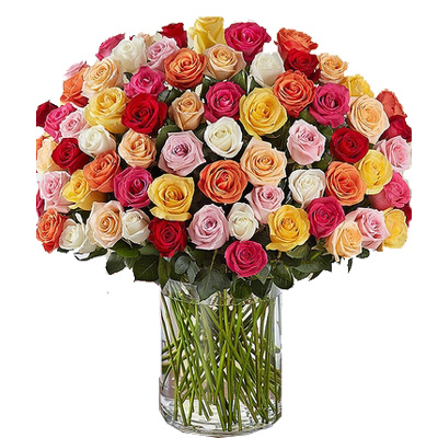 100 Mix Roses