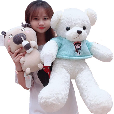 White Teddy Bear