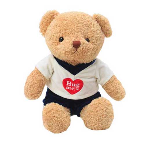 Teddy Hug Me