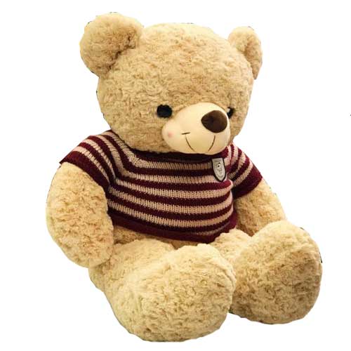 Teddy Logo 80cm