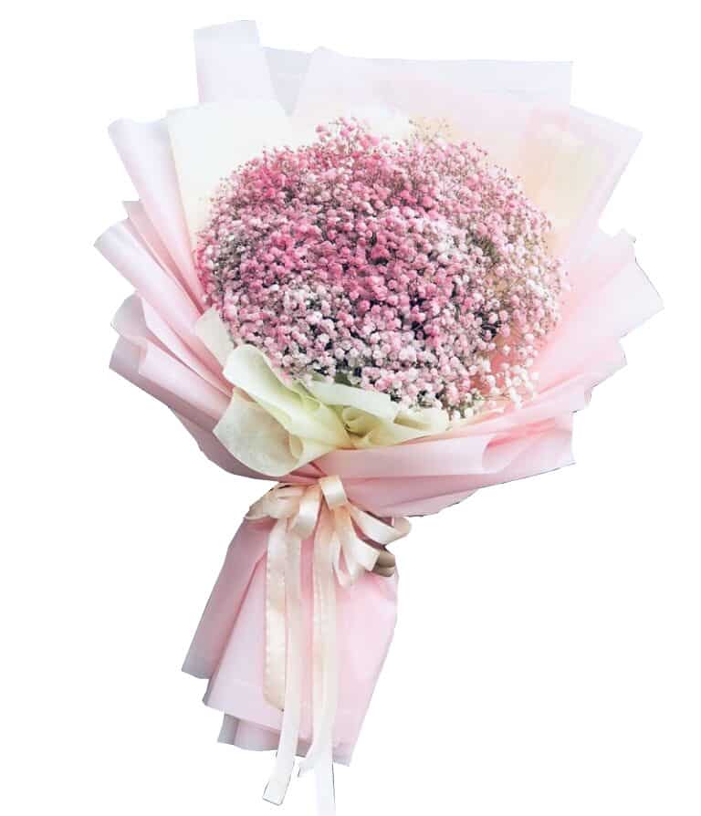 Baby’s Breath Bouquet