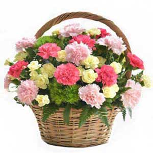 Mix Carnations in Basket