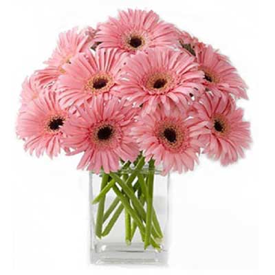 1 Dozen Pink Gerberas In A Vase