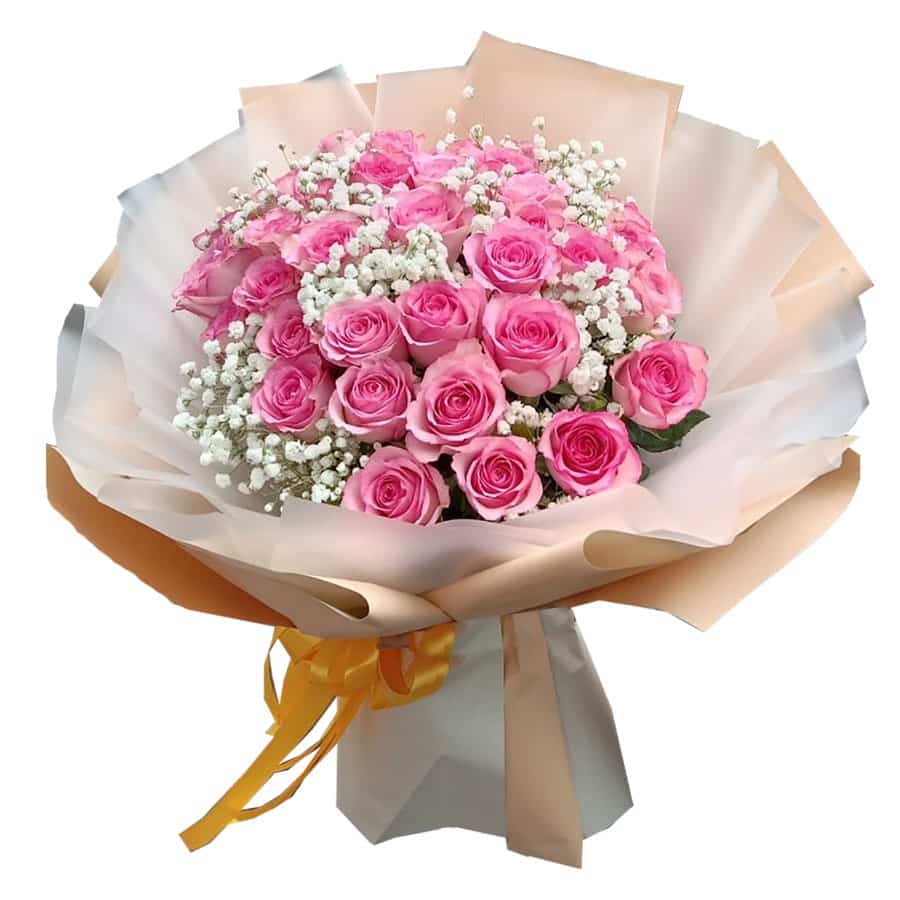 Beginning of Your Life