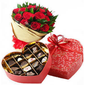 Exclusive Collection