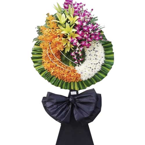 Peaceful Tranquility