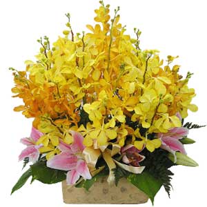 Orchids & lilies in basket
