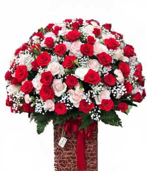 Mixed Roses in a Box