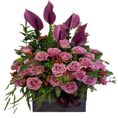 Perfectly Purple Box