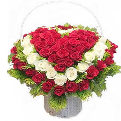 Valentines Day Roses