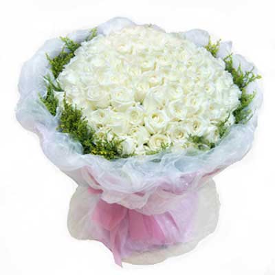 50 White Roses