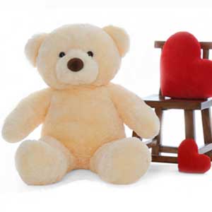 Kids Teddy