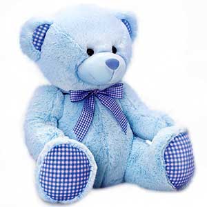 Sky Blue Teddy