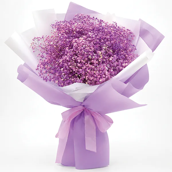 Amethyst Starburst Dream