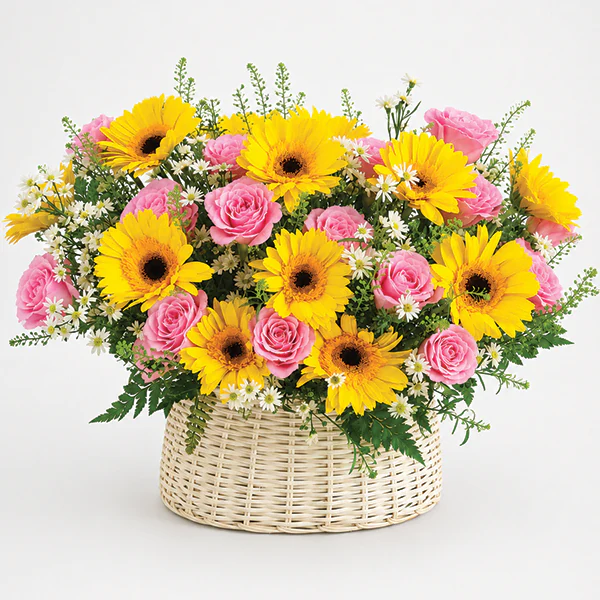 Golden Sunshine Serenade