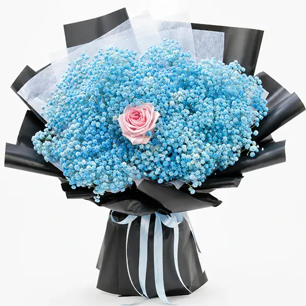 Velvet Night Blue Baby's Breath