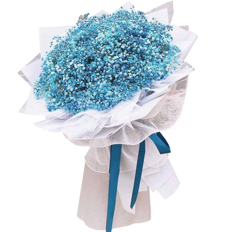Blue Baby’s Breath Love