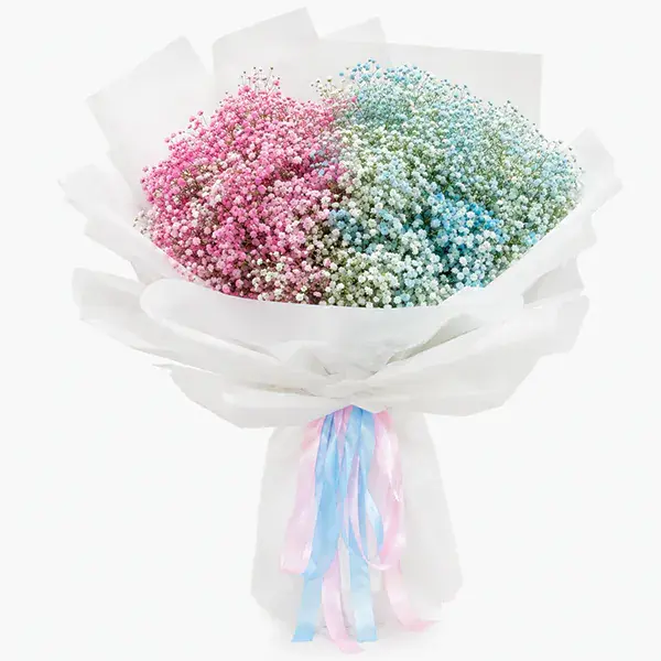 Pastel Harmony Baby's Breath