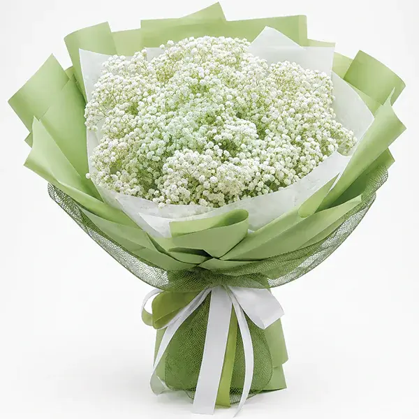 Jade Mist Baby's Breath