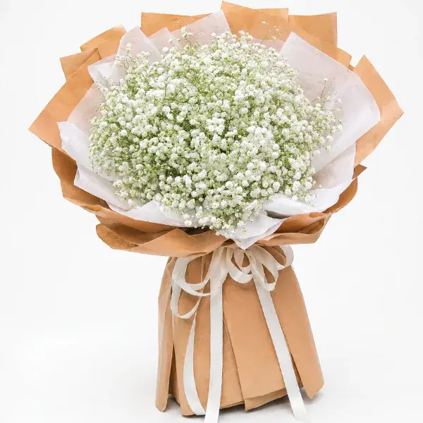 Pure Baby's Breath Dream