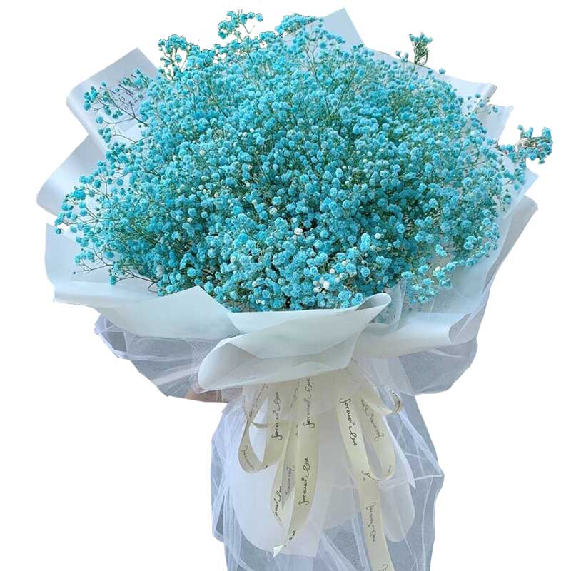 Green Baby’s Breath