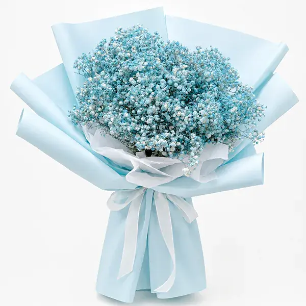 Azure Dreams Baby's Breath