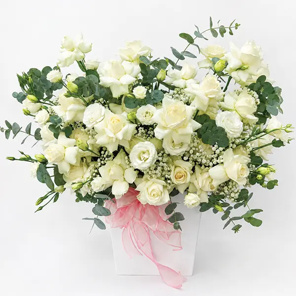 The White Whisper of Roses
