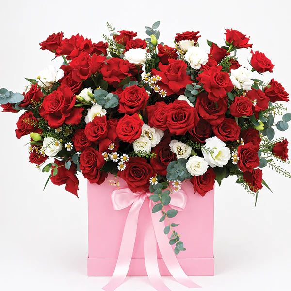 Scarlet Garden Box