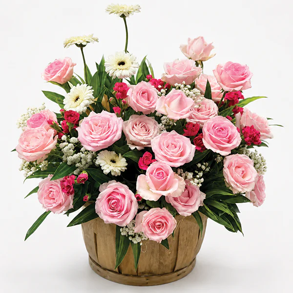Pink Whispers