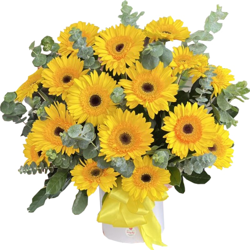 Gerbera Basket