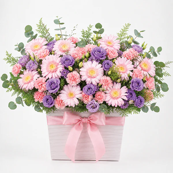 Lavender Blush Melody